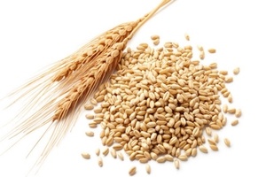 alergia alimentar ao trigo