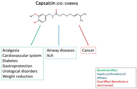 capsaicina-e-doenças