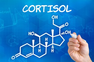 cortisol-stress-e-perda-de-peso