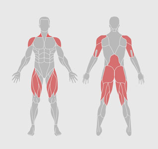 músculos-exercício-físico-corpo inteiro-alongamento